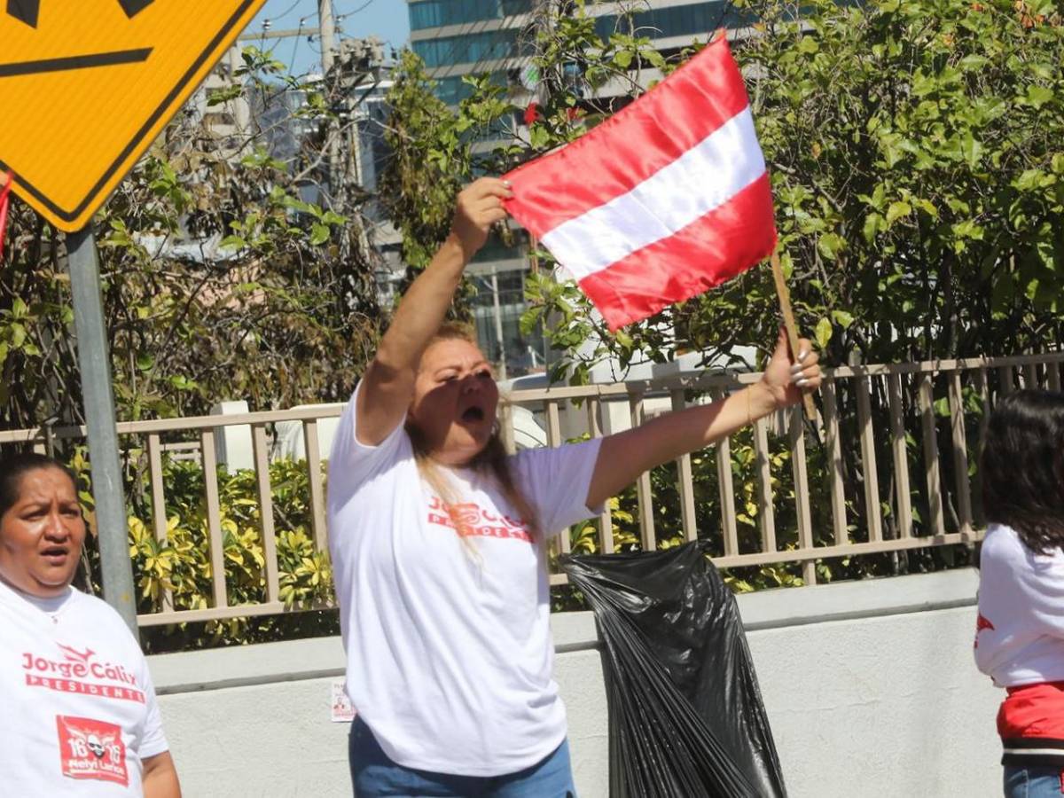 Afiches, banderas y pancartas evidencian inicio de propaganda para elecciones primarias