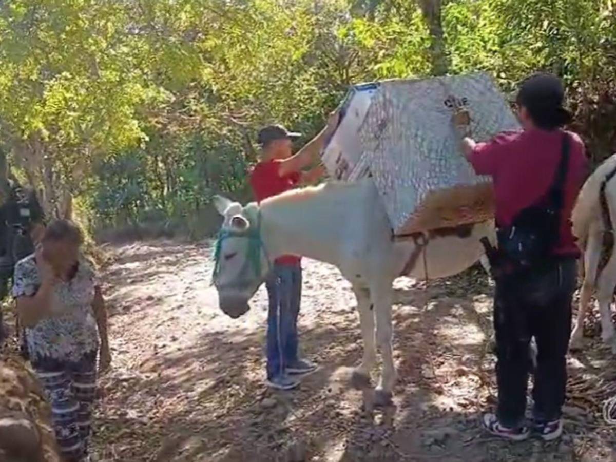 En lanchas y a lomo de mula trasladan maletas electorales a Colomoncagua y Morolica