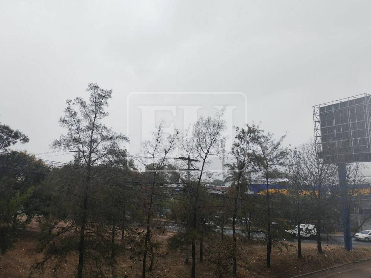 Inicio de semana fresco: Llueve sobre la capital este lunes