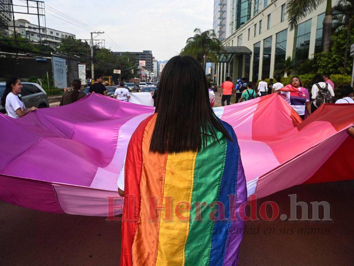 Comunidad LGTB espera mecanismo que les permitirá el cambio de nombre