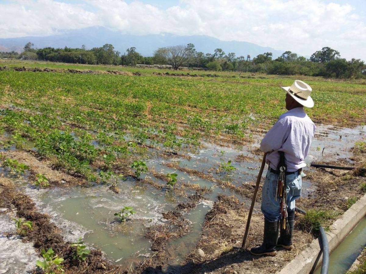 Piden socializar plan que busca tener seguridad alimentaria en Honduras