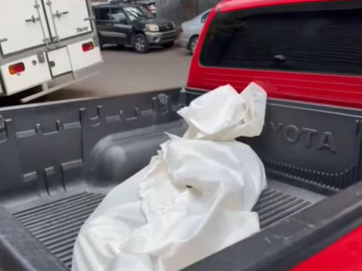 Lo atacó en la mañana y, tras regresar del hospital, lo mató: caso del perro y su dueño en el Hato