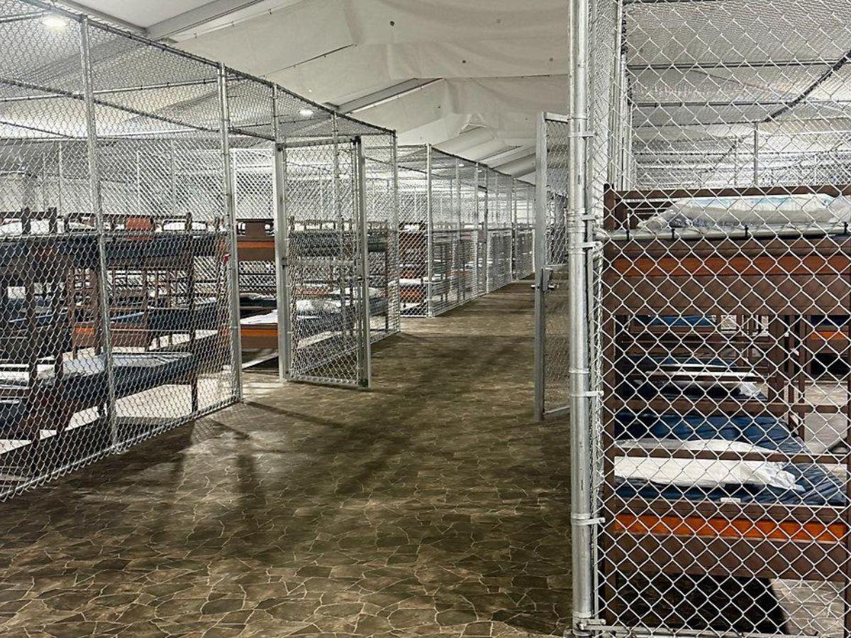 Turista mexicano con visa es detenido en Florida y enviado a Alligator Alcatraz