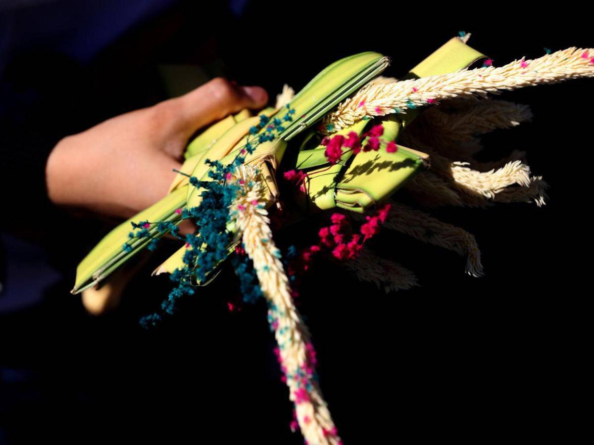 Con palmas, fe, curas expulsados y prohibiciones del régimen de Ortega, Nicaragua inicia Semana Santa Con palmas, fe, curas expulsados y prohibiciones del régimen de Ortega, Nicaragua inicia Semana Santa