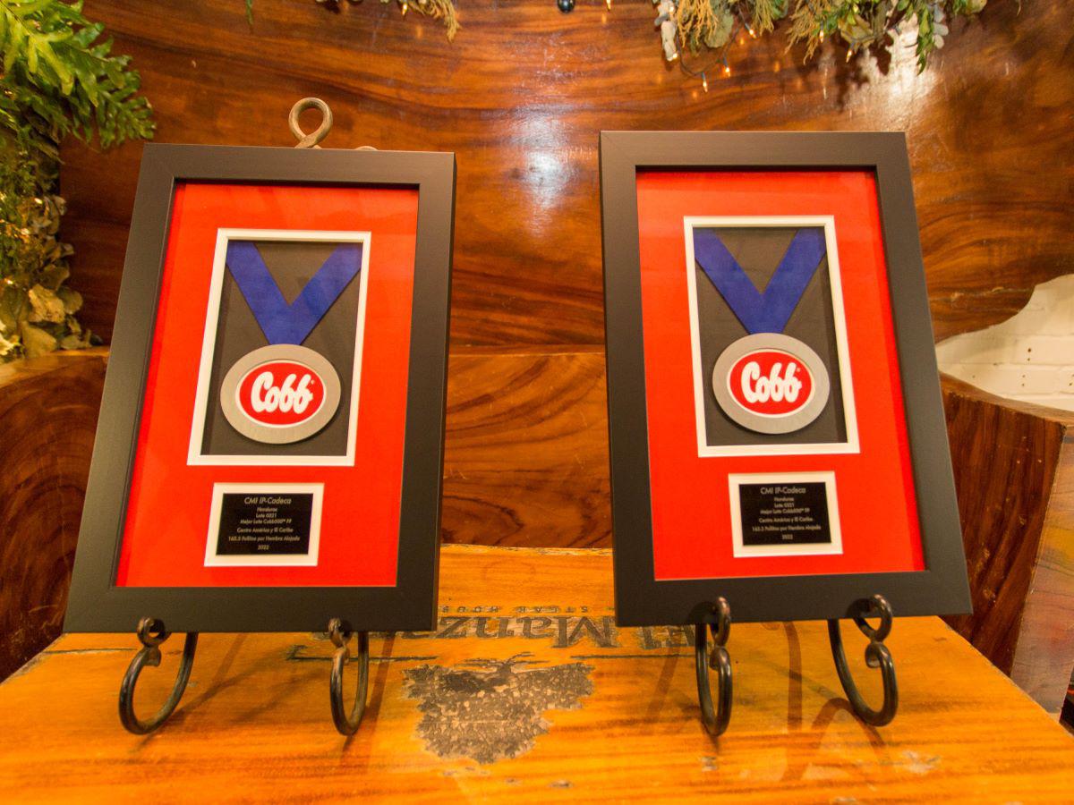 Cobb-Vantress premió a CMI por el Mejor Lote Cobb 500 Emplume Lento en Guatemala y Mejor Lote Cobb 500 Emplume Rápido en Honduras.