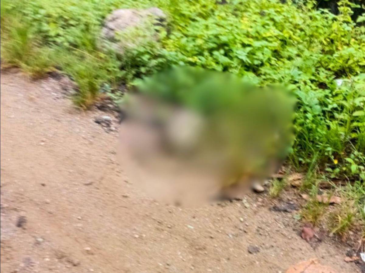 “Faltan 3 por matar”: hallan cabeza humana en Yoro y la Policía busca el resto del cuerpo