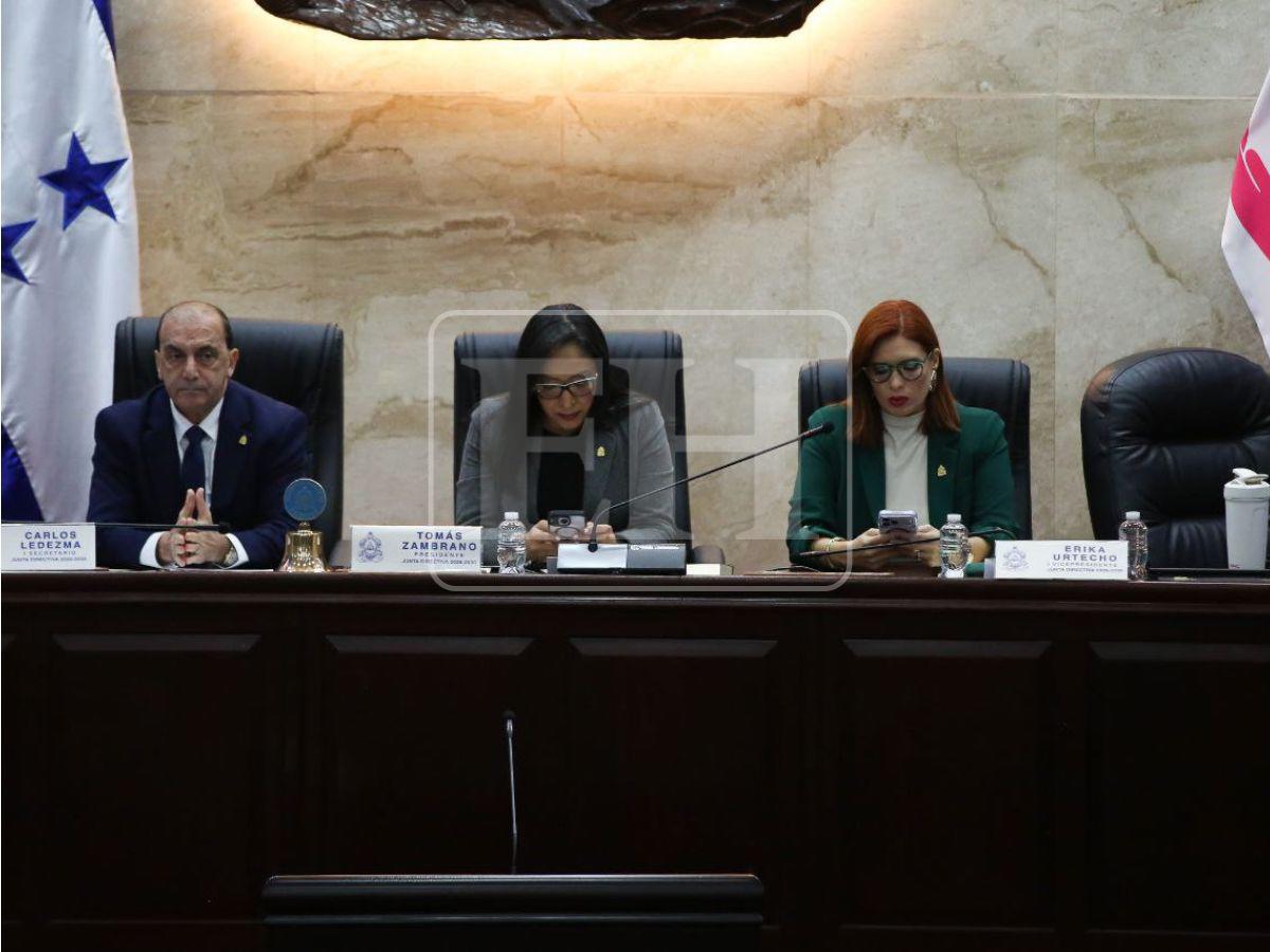 ¿Cuáles son las amnistías aprobadas por el Congreso y en qué consiste cada una?