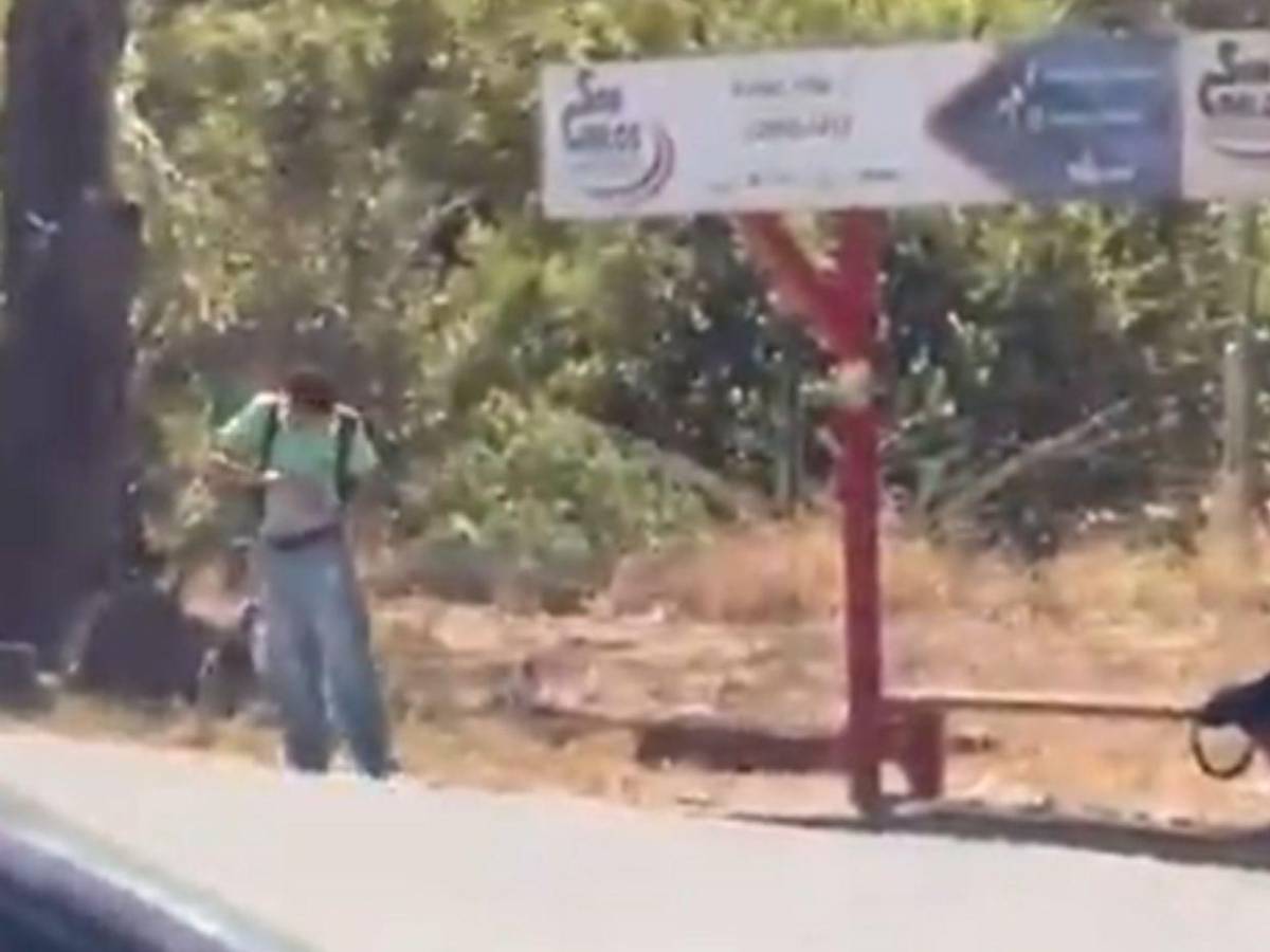 Cuadro a cuadro: así fue asesinado un estudiante por presunto amigo en Costa Rica