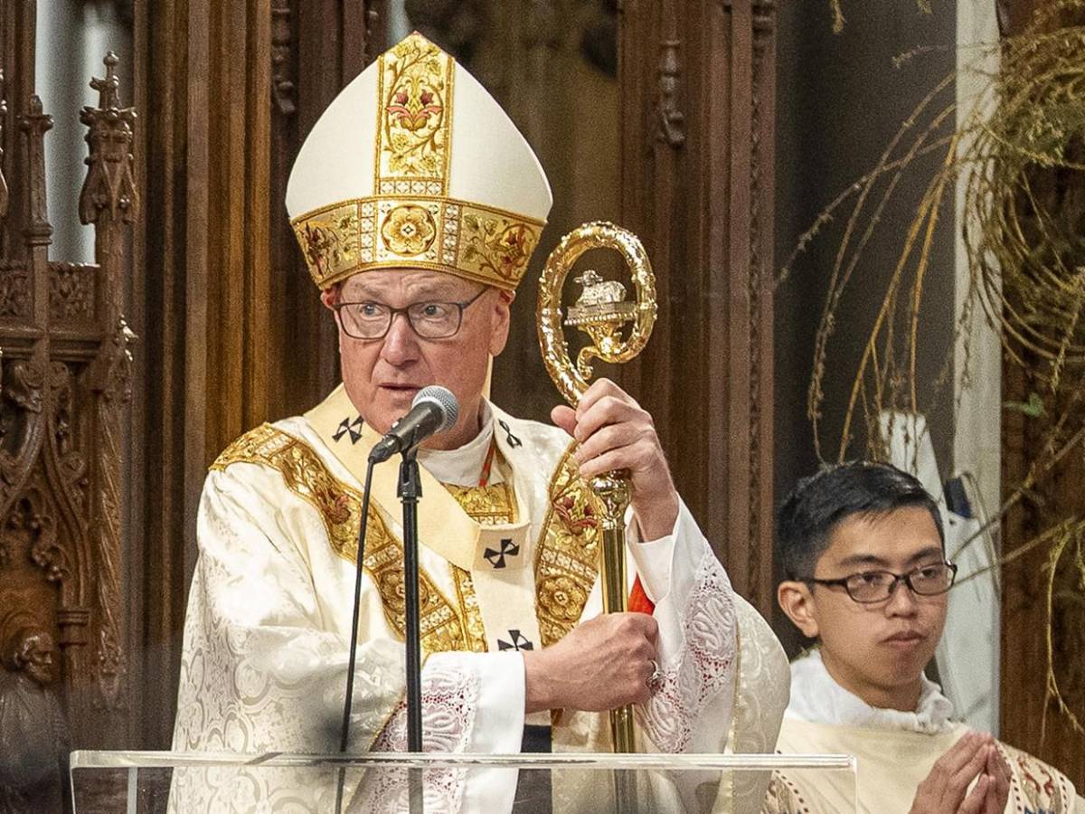 Conozca quiénes son los posibles 'papables' para suceder a Francisco Conozca quiénes son los posibles 'papables' para suceder a Francisco