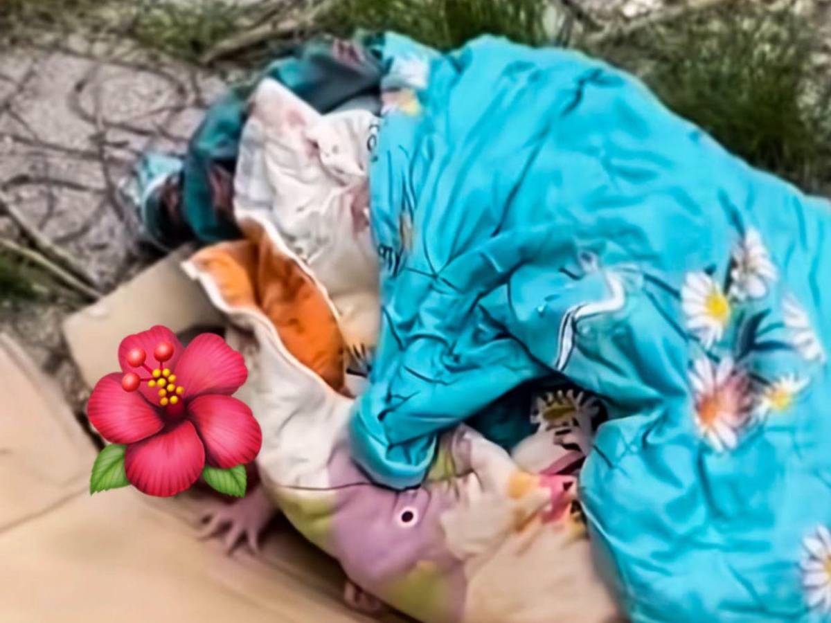 Buscan a menor, madre de bebé muerta y víctima de presunto abuso paterno en California
