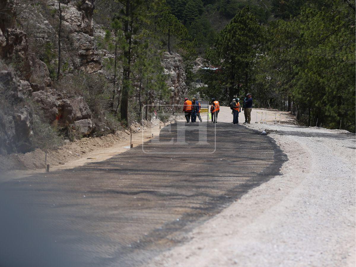 Honduras pierdió 900 mil hectáreas de bosque: Lepaterique entre las zonas más afectadas