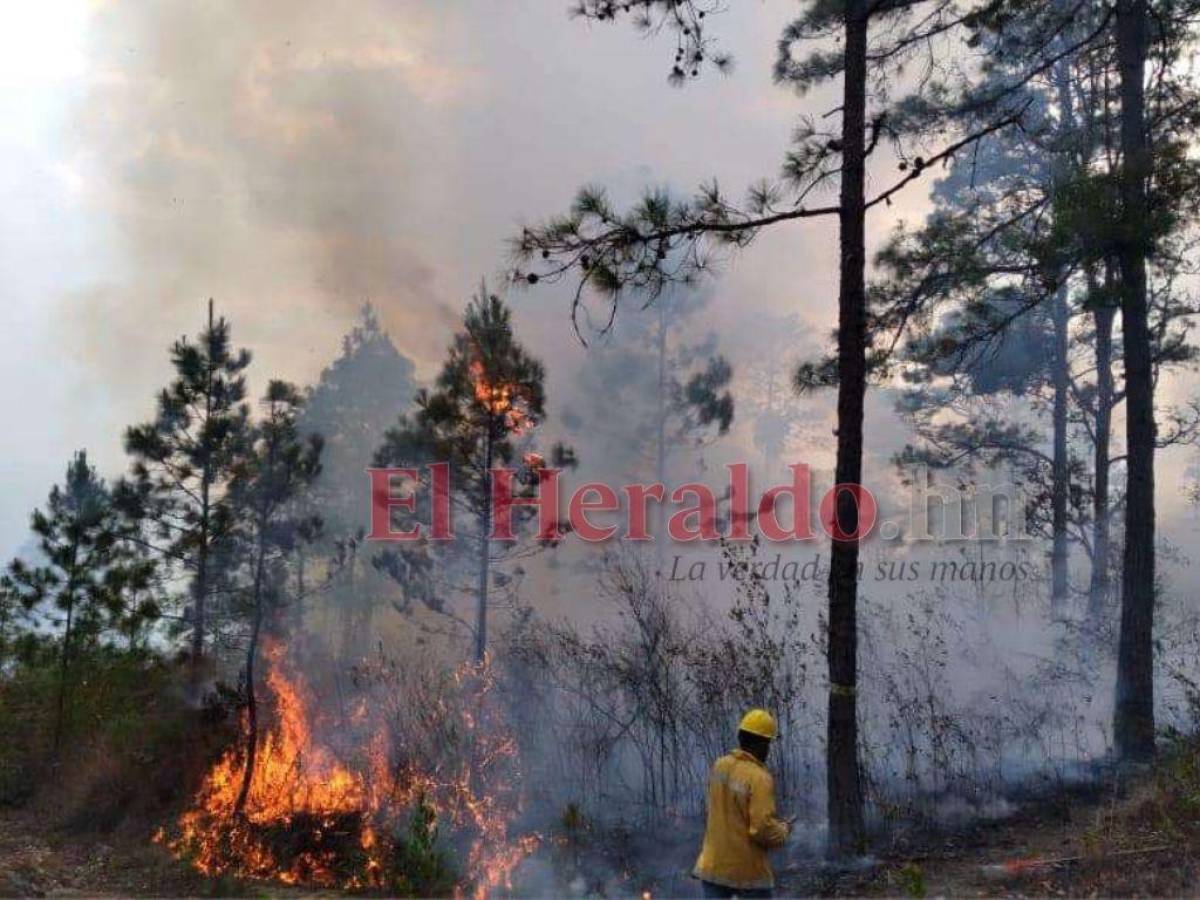 UMA: El incendio de Tatumbla fue provocado