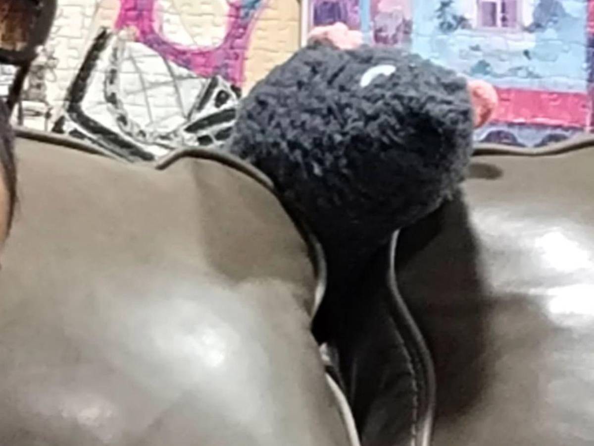 Camila Aurora, la artista trans detrás de la parodia a “Emilia Pérez”