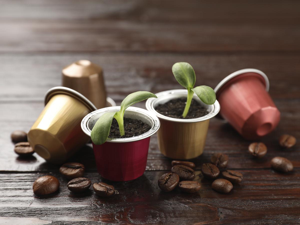 <i>Los envases eco-amigables, como estos innovadores diseños de cápsulas de café, son la vanguardia de la sostenibilidad. </i>