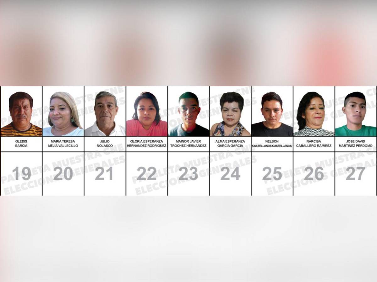 ¿Quiénes son los candidatos a diputados por el PINU-SD, de Nelson Ávila?