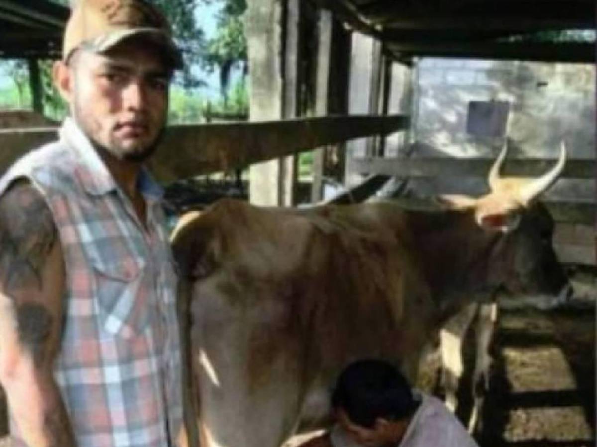 Futbolistas hondureños que decidieron tener negocio propio: Ganadería y restaurantes destacan