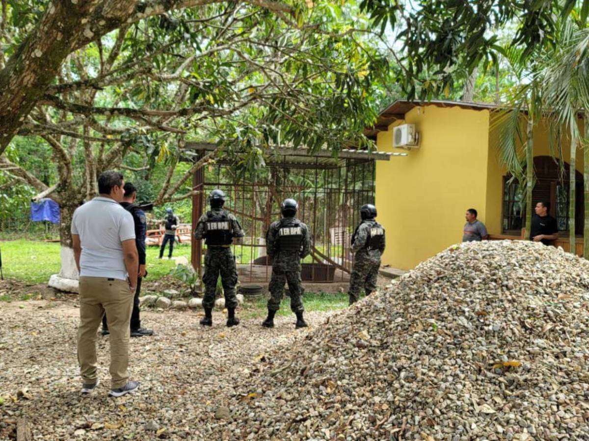 Así fue el rescate de jaguar y otras especies exóticas en cautiverio en Olancho
