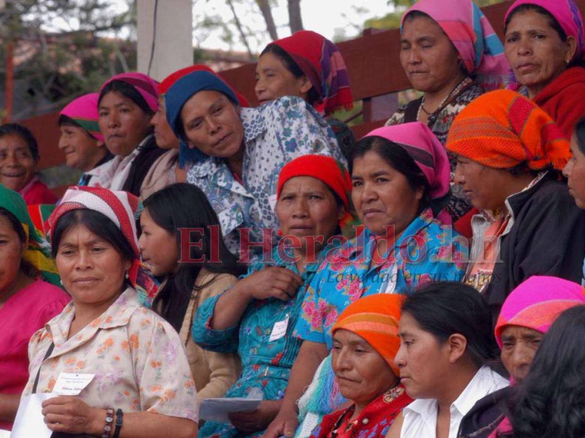 Las lenguas indígenas en Honduras, en riesgo más que nunca
