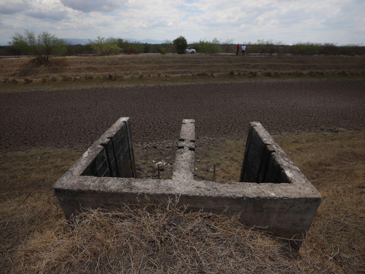 $!Hay propiedades con lagunas que se están deteriorando, debido a que nadie las quiere sembrar, pese a las millonarias inversiones que han hecho.