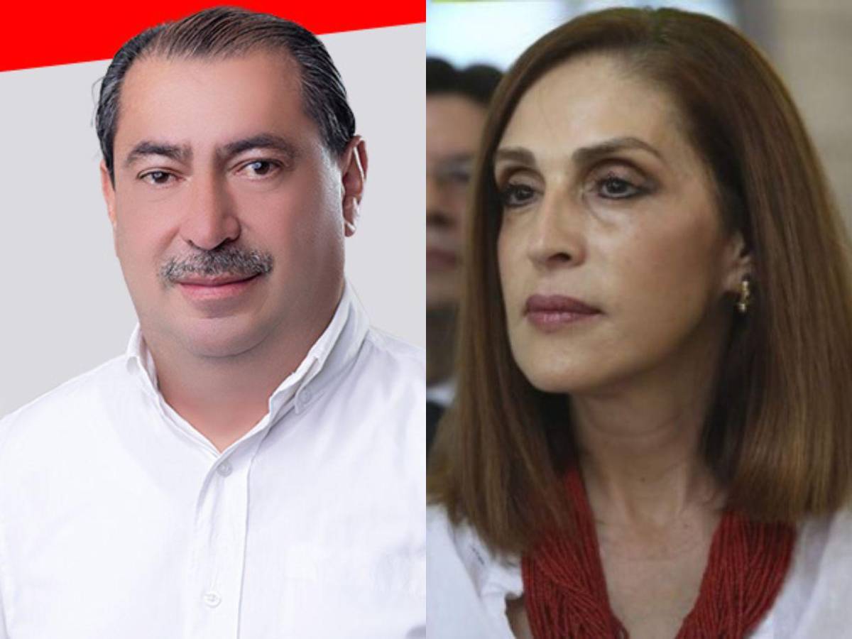 ¿Quiénes son los candidatos que aspiran ser autoridades internas en sus partidos?