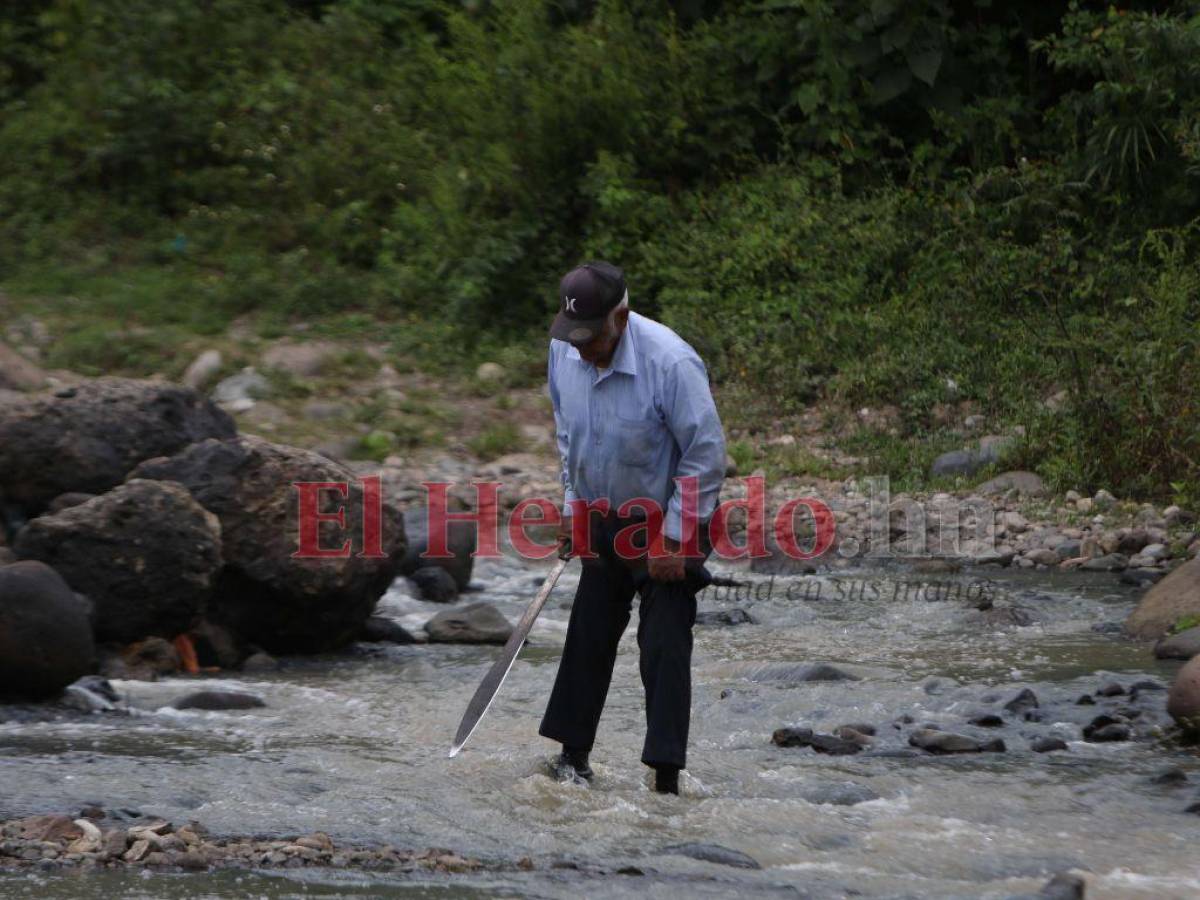 A sus 86 años, don Rodolfo Fonseca utiliza un viejo machete como bordón para cruzar el río.