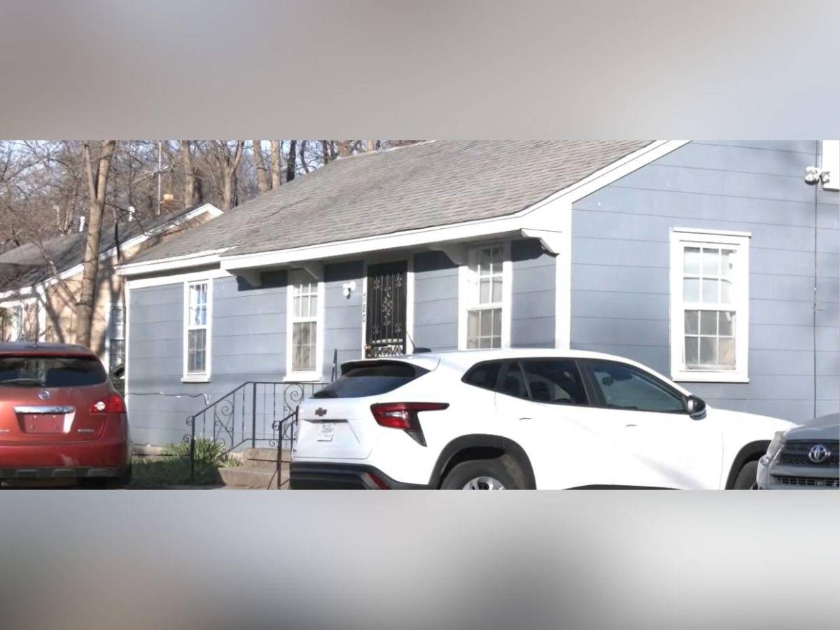 Pitbull dispara un arma por accidente contra su dueño en Memphis, Estados Unidos