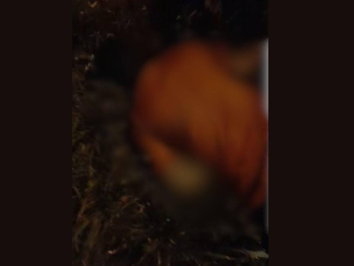 Les pidieron que corrieran para luego dispararles: Identifican a hermanos asesinados a balazos en La Ceiba