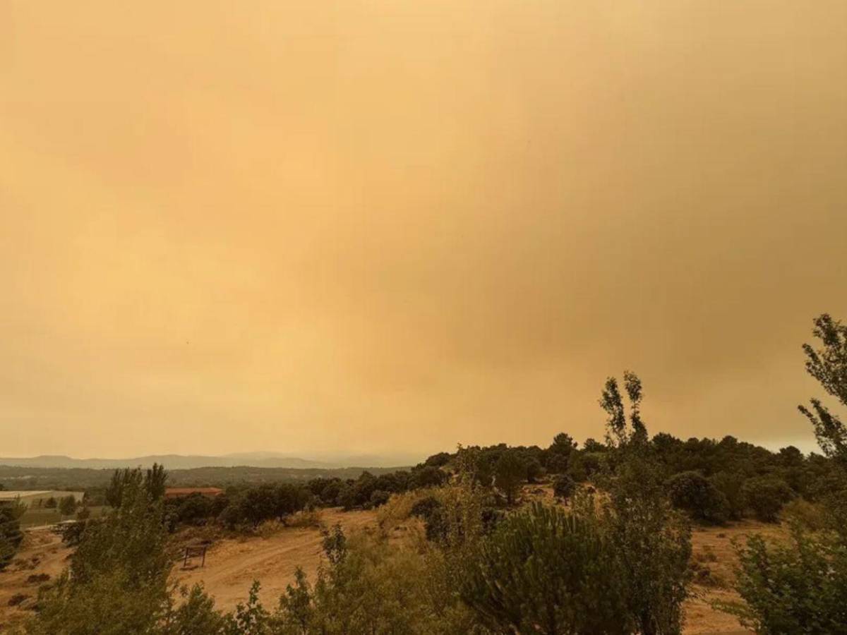 Fuego voraz arrasa con 45,000 hectáreas en España y obliga a evacuar a miles de personas