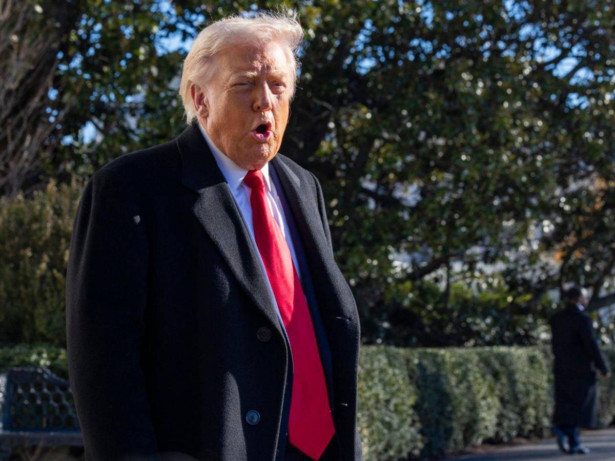 Primer año de gobierno de Trump: Poder desatado y poca resistencia del Congreso