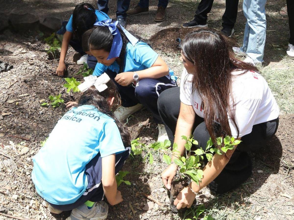 Amor por la naturaleza: Líderes ecológicos reforestaron el parque Juana Laínez