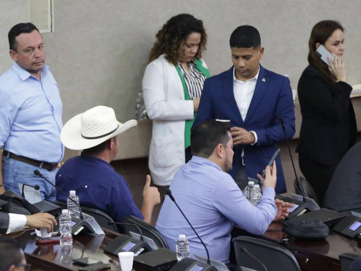 Atentos al celular, al “chismecito” y al café: diputados en plena sesión parlamentaria