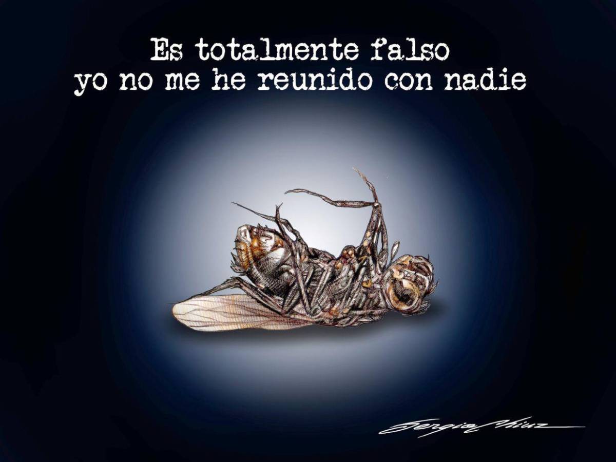 Mosquita muerta