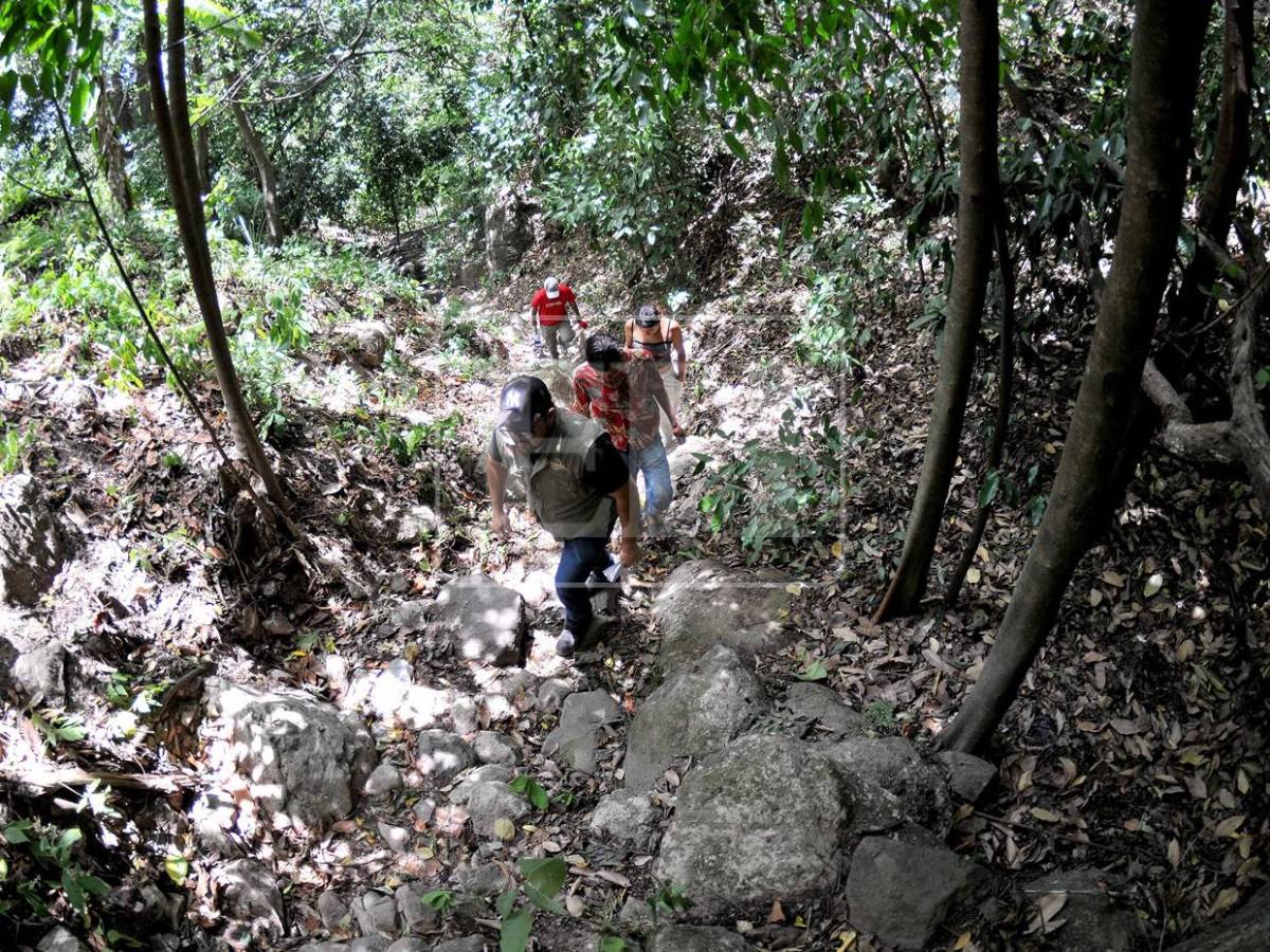 No se salvó ni un cultivo, ahora peligra el agua para consumo: el rastro de la sequía en el Corredor Seco