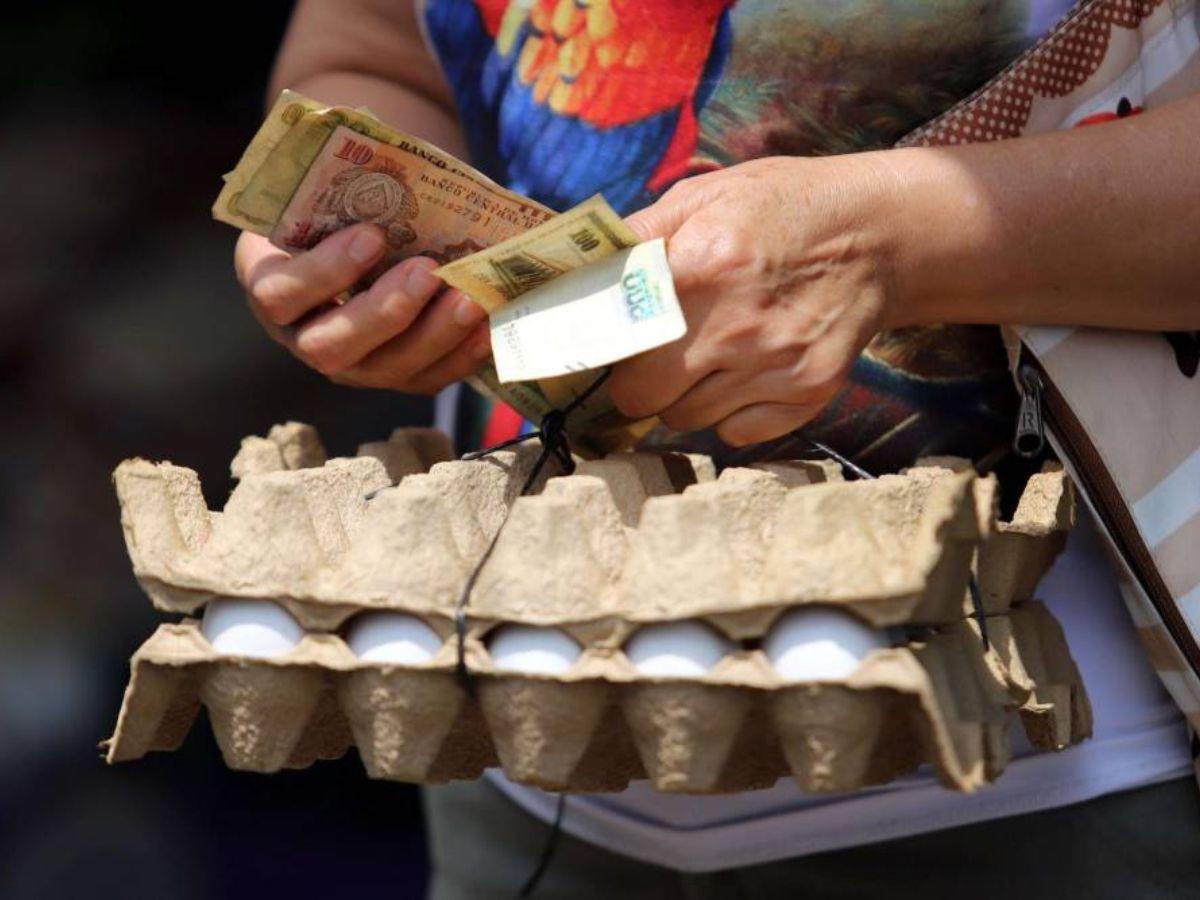 Cartón de huevos no debe sobrepasar los 135 lempiras en el Distrito Central