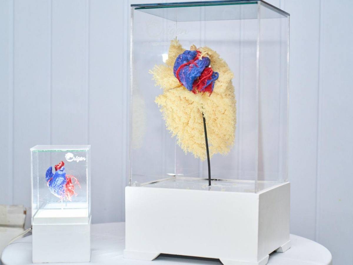 Hondureño transforma placentas en arte y huesos en esculturas sorprendentes