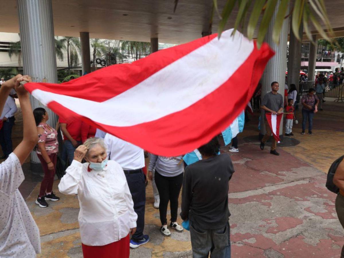 Liberales se manifiestan afuera del Congreso Nacional; piden respetar la democracia