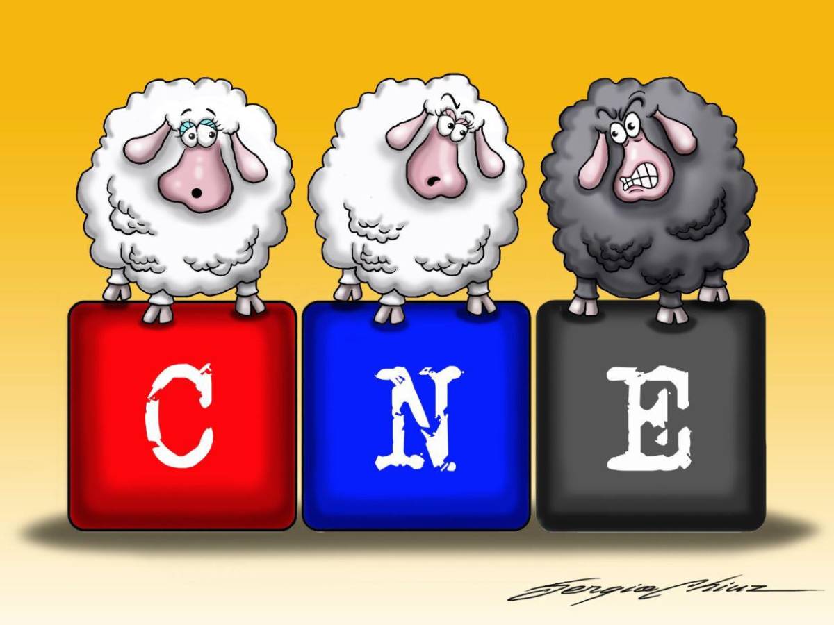 Negro ambiente electoral