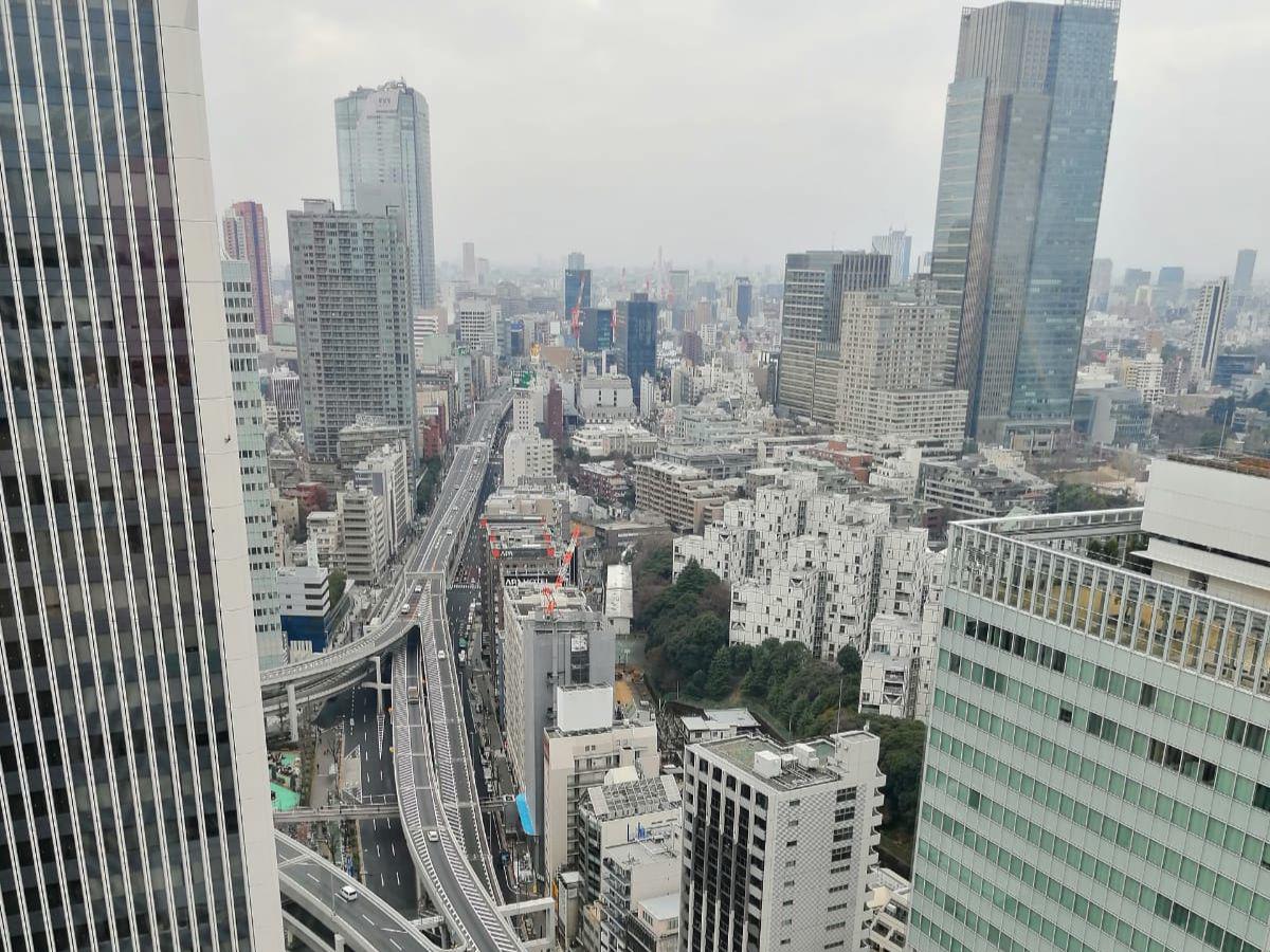 Tokio, imponente.