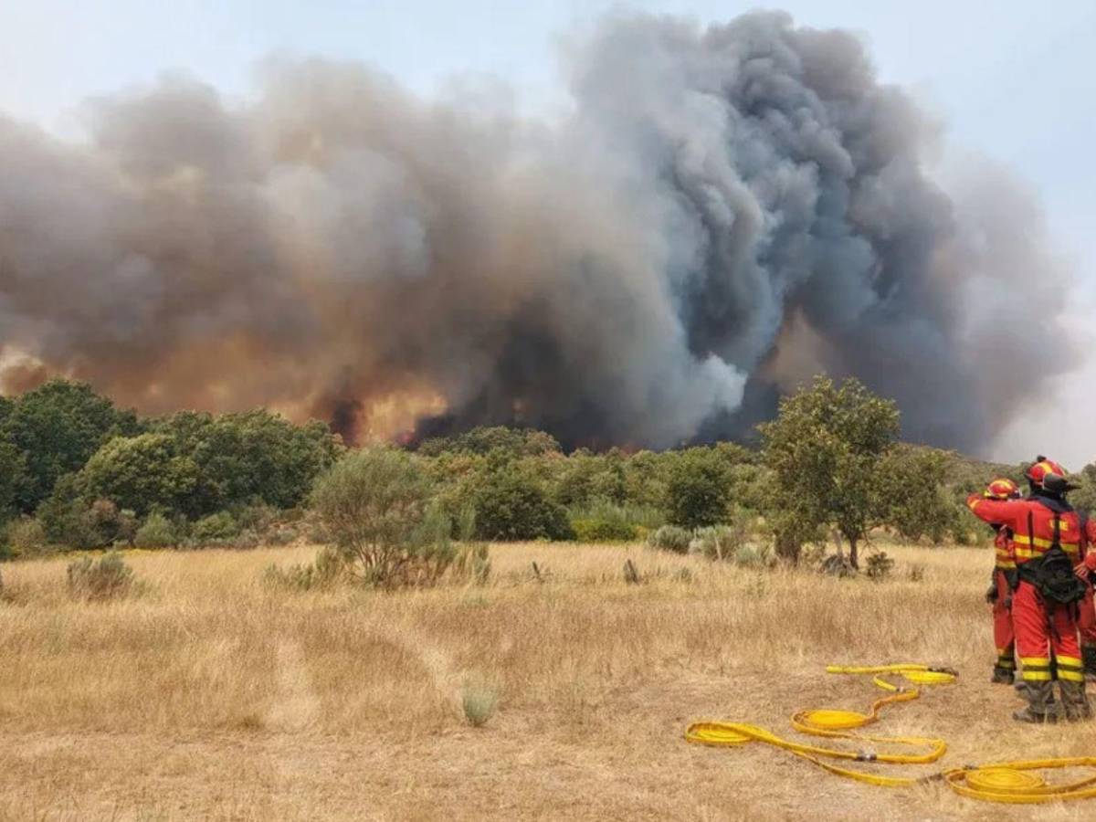 Fuego voraz arrasa con 45,000 hectáreas en España y obliga a evacuar a miles de personas