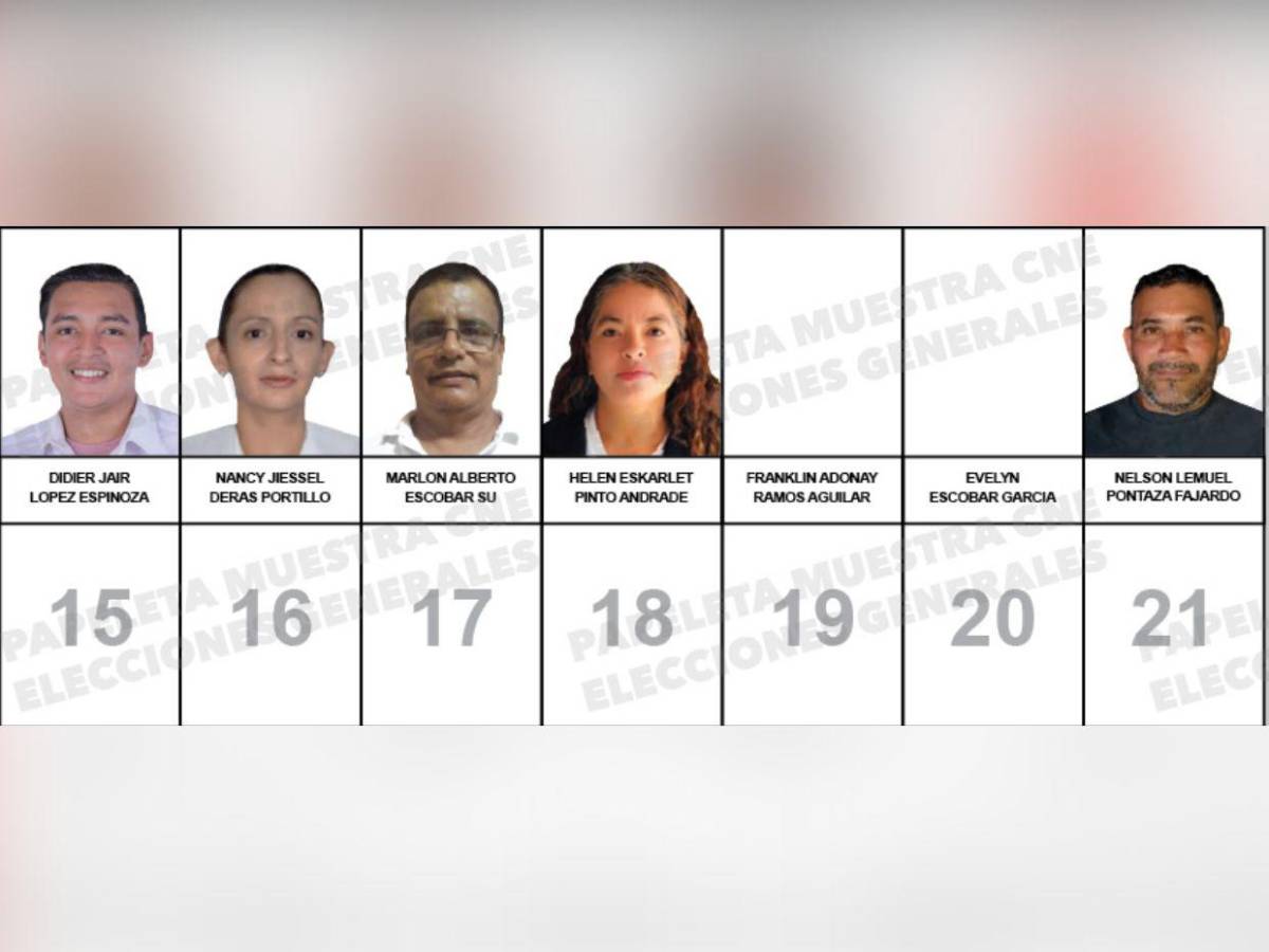 ¿Quiénes son los candidatos a diputados por el PINU-SD, de Nelson Ávila?