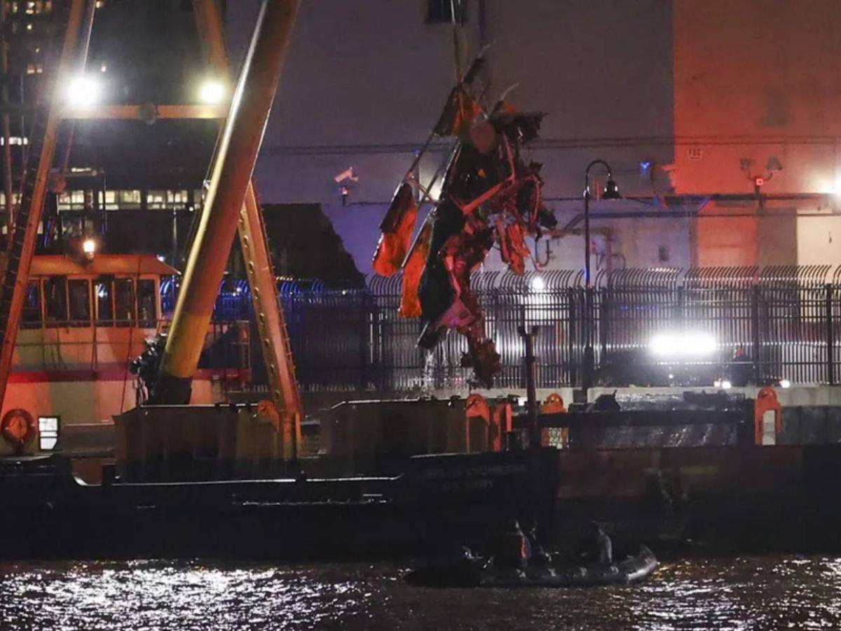 Teorías sobre el accidente aéreo en Nueva York: aves, drones o fallo de motor Teorías sobre el accidente aéreo en Nueva York: aves, drones o fallo de motor