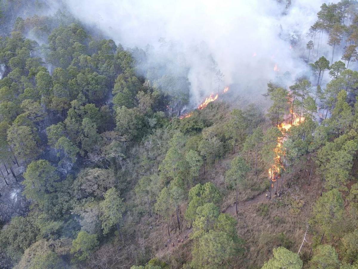 FF AA combaten siete incendios forestales en distintas zonas del país