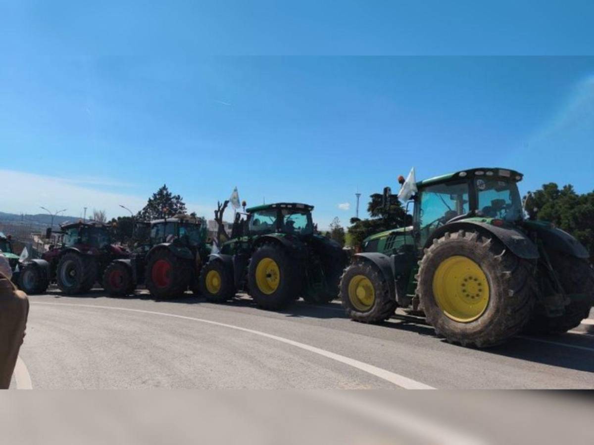 Bloqueos y caos vial en Dublín por alza en combustibles