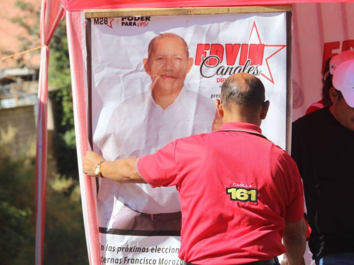 Electores, activistas enérgicos y seguridad: ambiente en proceso electoral