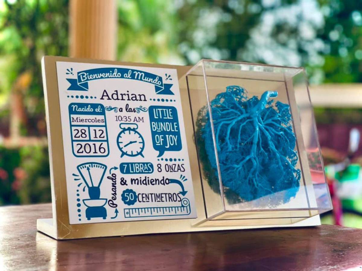 Hondureño transforma placentas en arte y huesos en esculturas sorprendentes