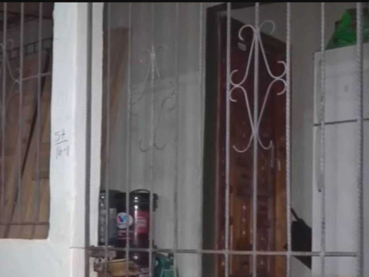 Lo atacó en la mañana y, tras regresar del hospital, lo mató: caso del perro y su dueño en el Hato
