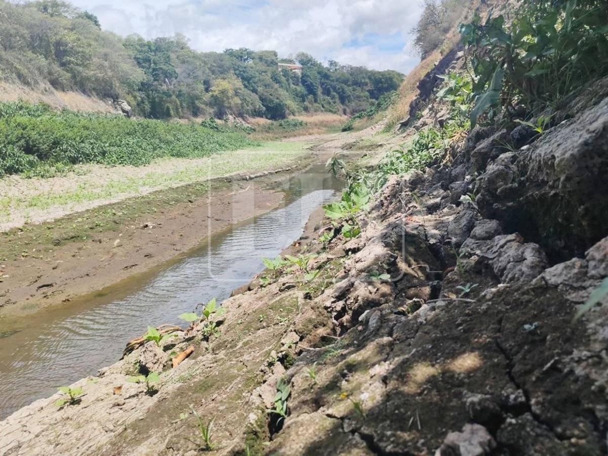 Como un hilo de agua: así está este 7 de septiembre el río Guacerique que agoniza por la sequía