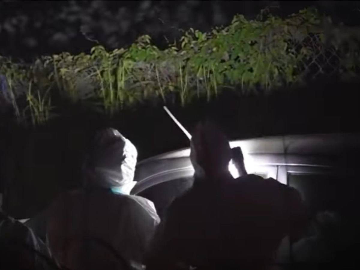 Estaba en el baúl, embolsado y torturado: lo que se sabe del taxista VIP asesinado en la capital