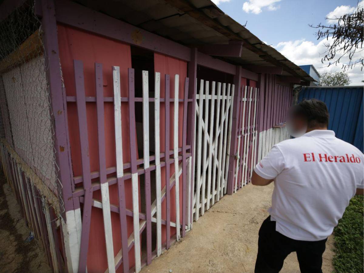 Narcotráfico y peleas de territorio disparan violencia en Catacamas