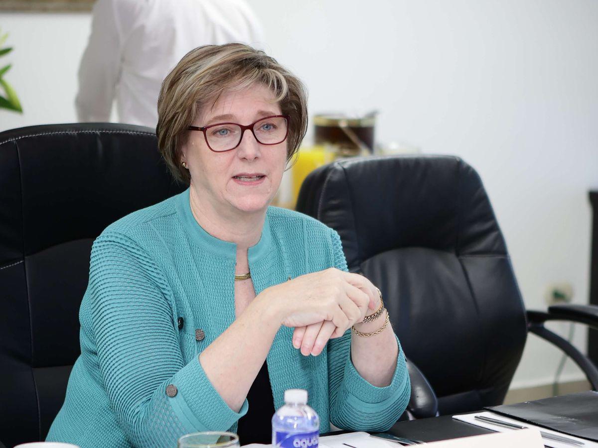 Embajadora Laura Dogu espera que se llegue a consensos para elección del fiscal general y adjunto